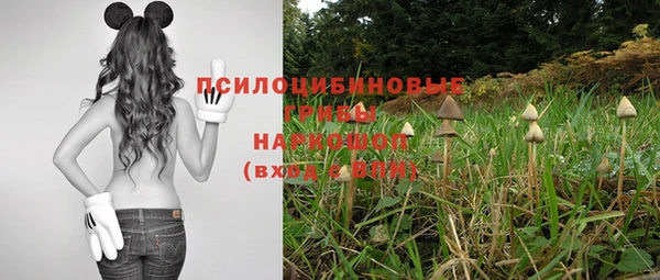 твердый Арсеньев