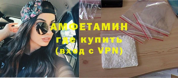 твердый Арсеньев