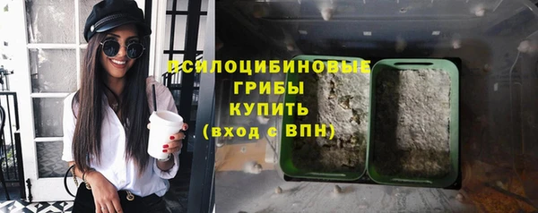 твердый Арсеньев